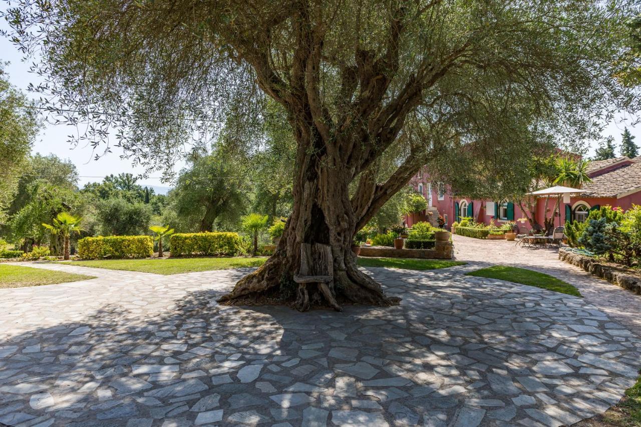 Triklino Estate Villa Afra Luaran gambar